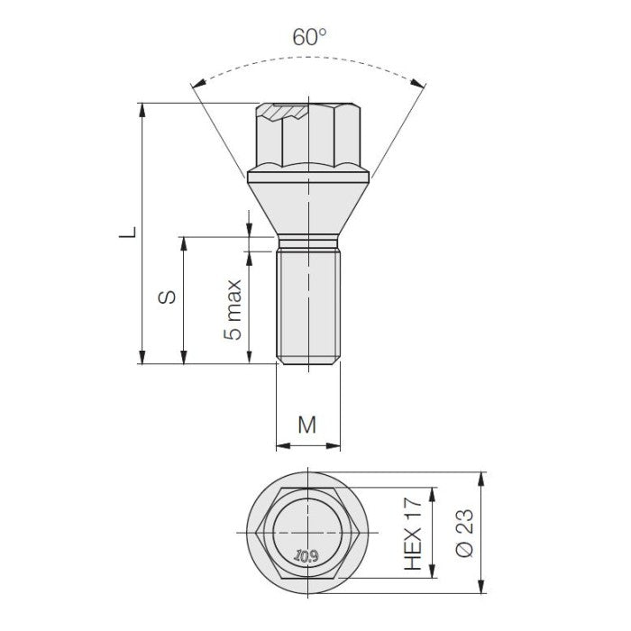 M14 x 1.25, Tapered Seat, 17 Hex